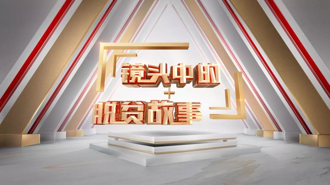 佛坪鲁小芳的最新动态，观点分析及其影响的聚焦探讨