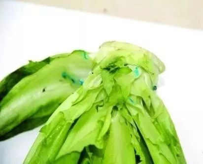 油麦菜价格最新行情,油麦菜价格背后的暖心故事，一场菜市场的友情之旅