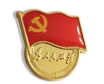 2024最新党徽胸章制作指南，从入门到精通