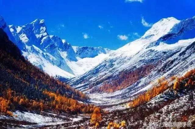 小明探索最新永久平台，自然秘境之旅，寻找心灵宁静之地