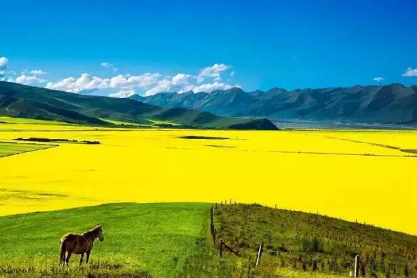 废柴网新域名带你探索自然美景，寻找内心宁静的旅程