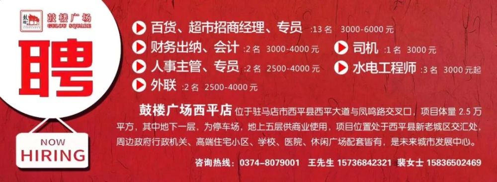平舆最新招聘详解，一步步教你如何成功应聘，把握就业机会！