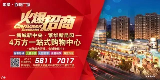 望城新篇章，干部调整背后的温馨故事与未来展望