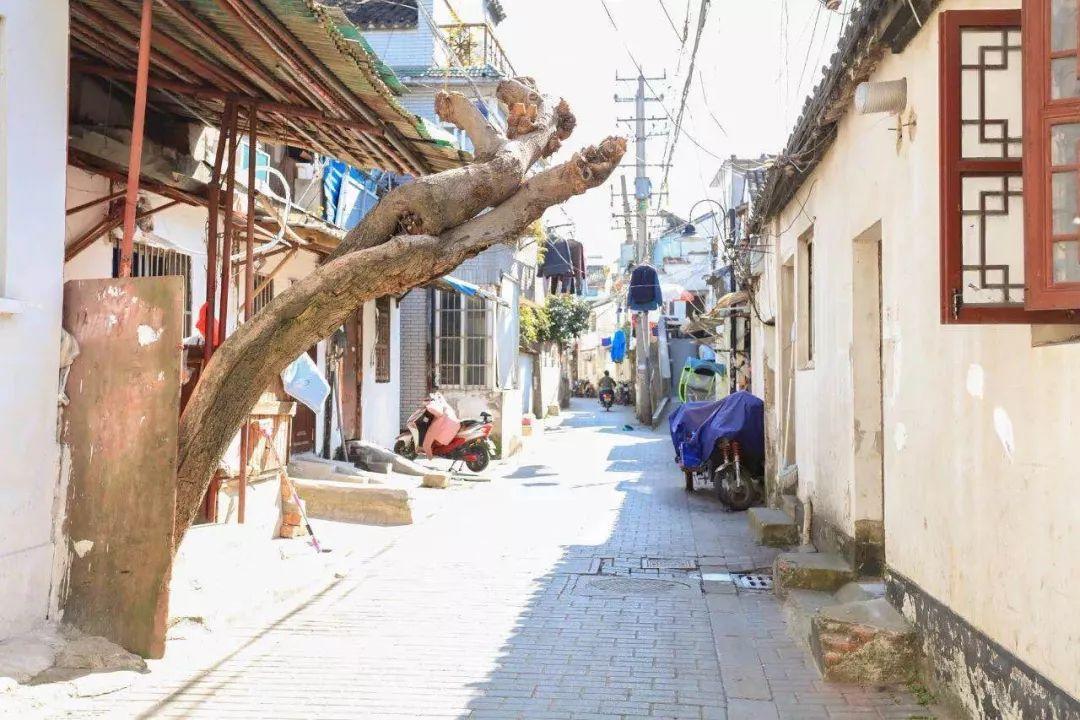 最新苹果降价风暴揭秘，小巷深处的乐园与特色小店探秘