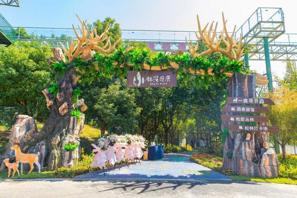 金坛区最新房价探索，秘境之旅与心灵宁静的房价展望