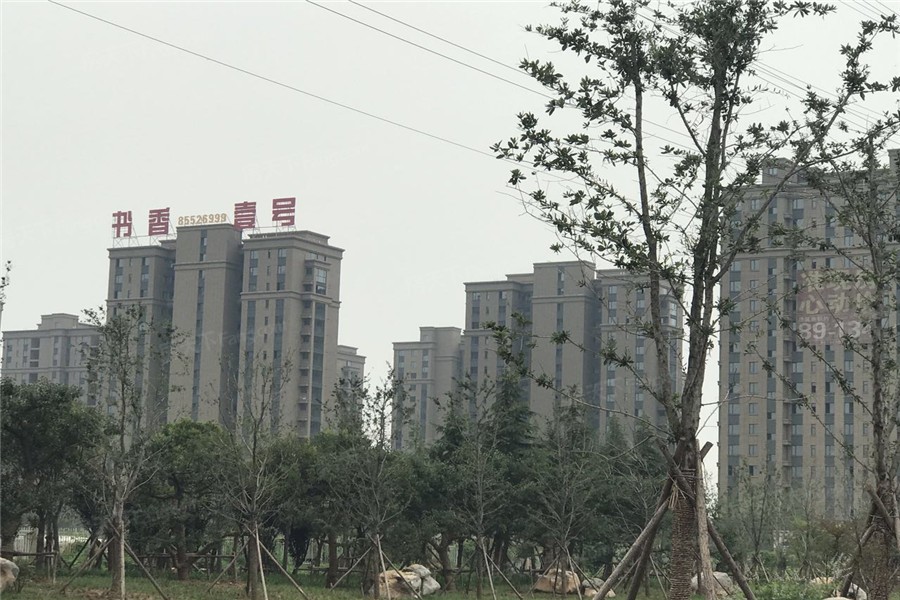 书香壹号最新售价详解，查询指南与购买攻略