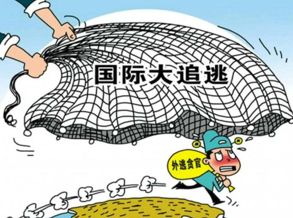 红杏最新网，网络犯罪的警示与反思