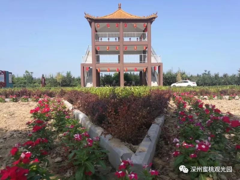 新闻中心 第233页