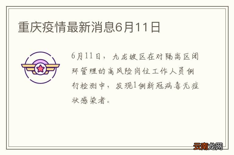 重庆疫情防控现状与措施全面解读，最新疫情情况分析报告