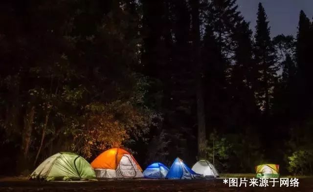 月光视频最新探索，光影交织下的浪漫之夜
