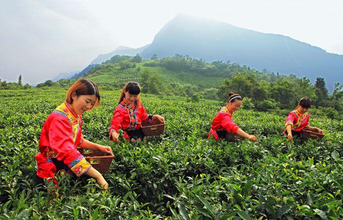 探索未知，发现小巷中的独特风味秘境小店——最新岛屿之旅
