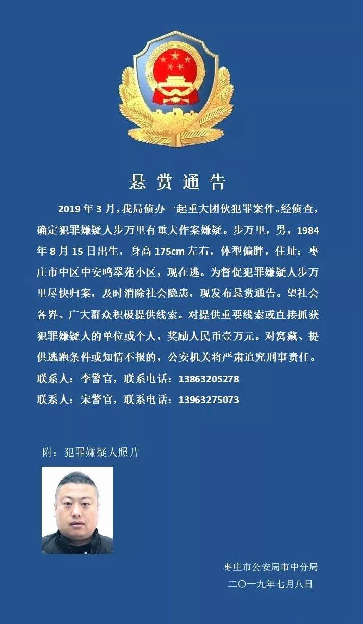 枣庄最新通缉系统评测报告，揭示通缉效率与改进措施