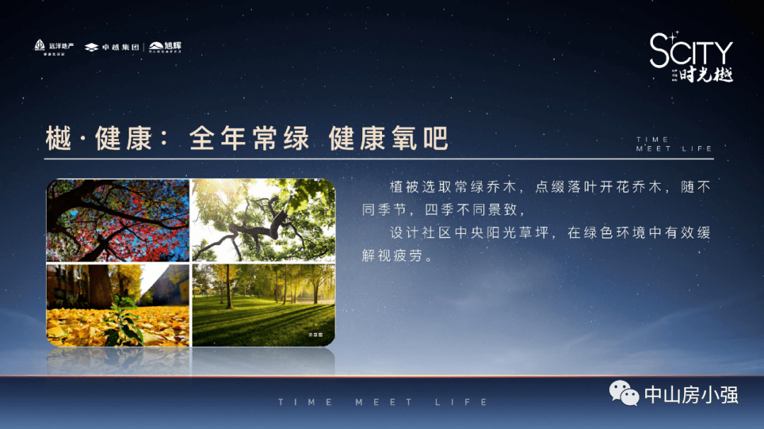 吉水最新肺炎,吉水最新肺炎，深度解析与观点阐述