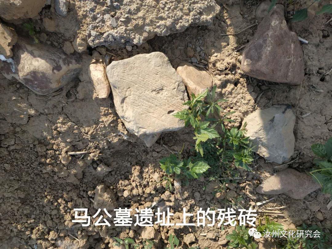 镇天官最新动态解析与观点阐述
