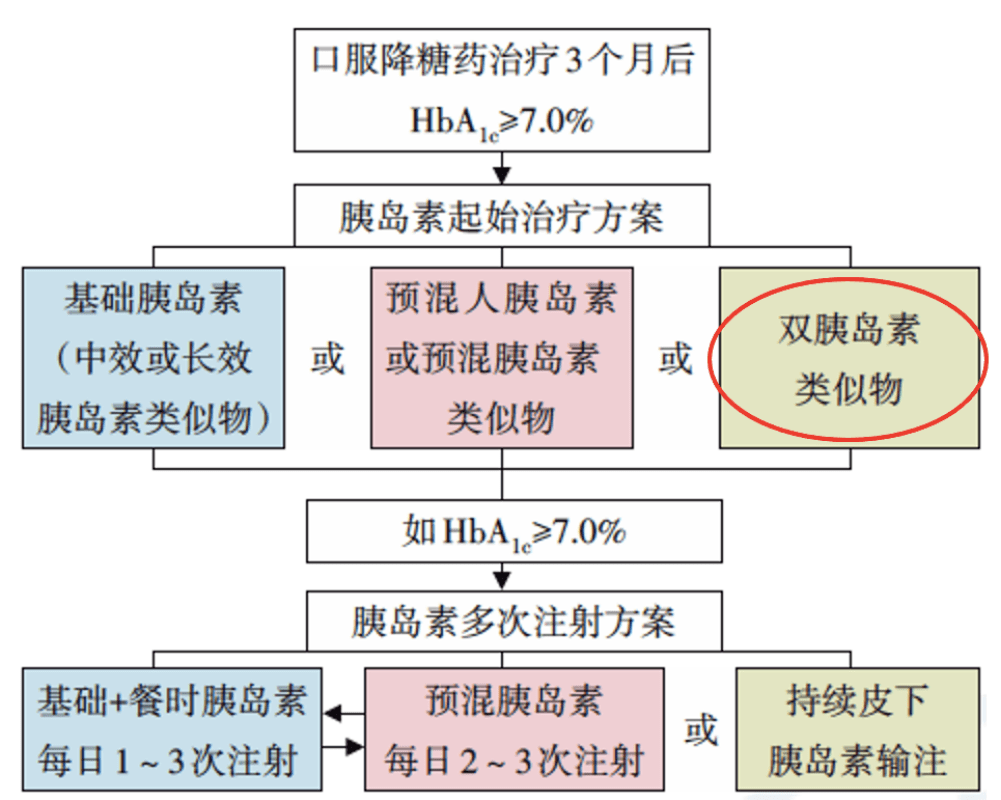 扇环最新制作指南，详细步骤教程