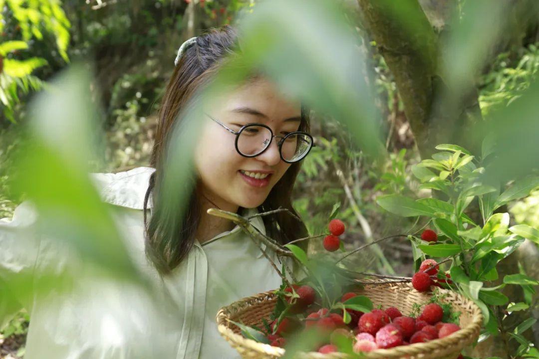 杭州新秘境探秘，自然之旅，寻觅内心的桃花源胜地