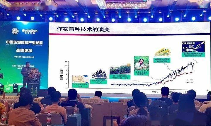 最新狗血剧深度解析与介绍