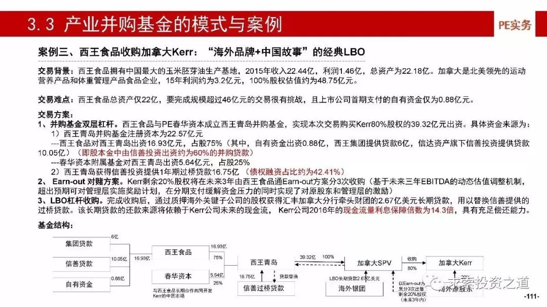 别枝最新章深度解析与心得分享，情感、成长与人生启示