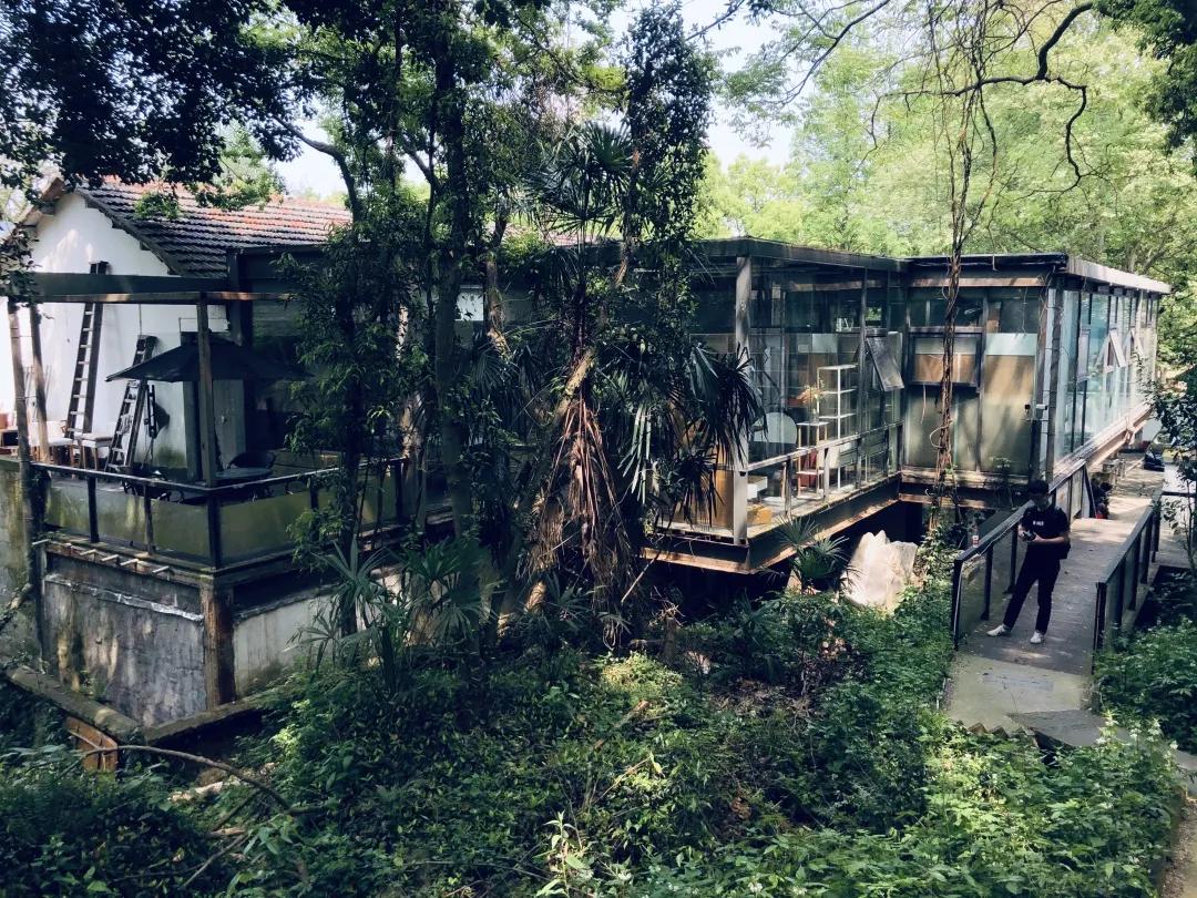 探秘小巷深处的特色小店，最新刷房子的非凡魅力