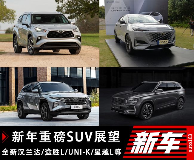 革新与争议并存，展望2024最新SUV车型展望