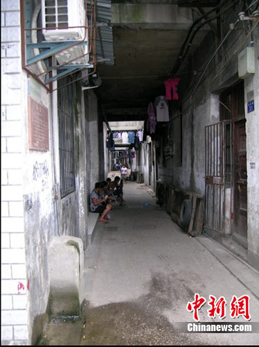 贤宝宝带你探索巷弄秘境，揭秘隐藏版特色小店的独特风味