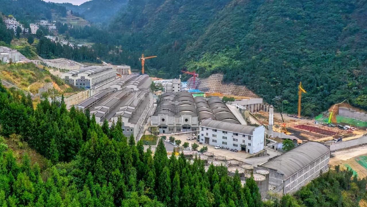 川酒资讯速递，科技新酒，智能体验引领川酒未来！