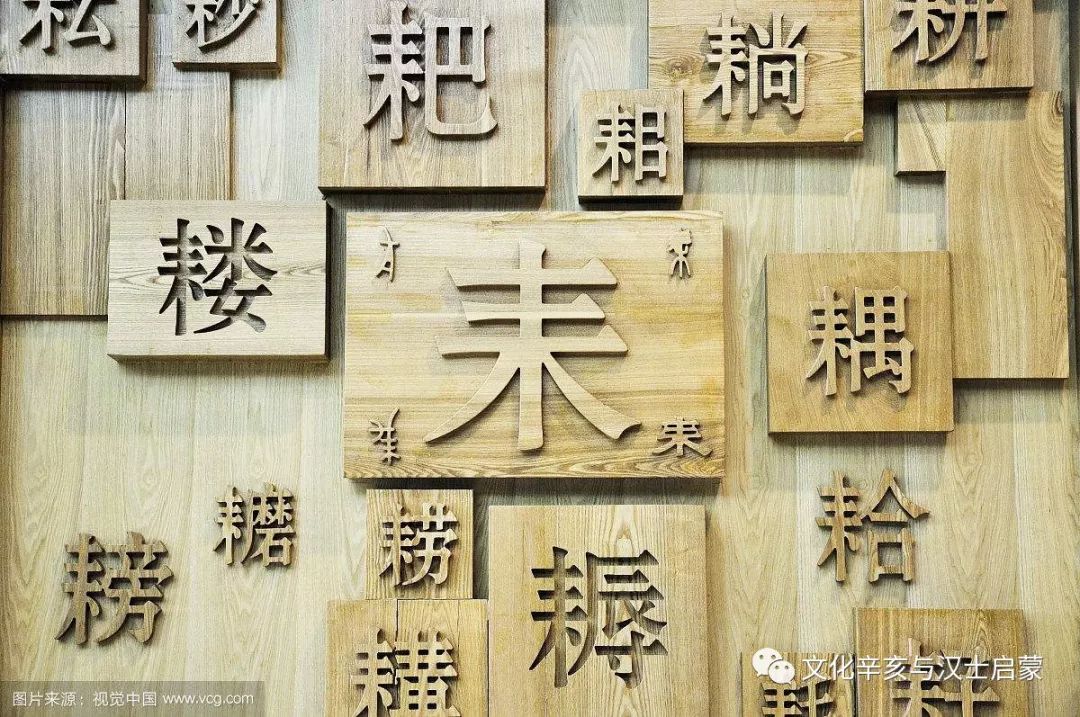 最新汉字涌现，进步还是挑战？