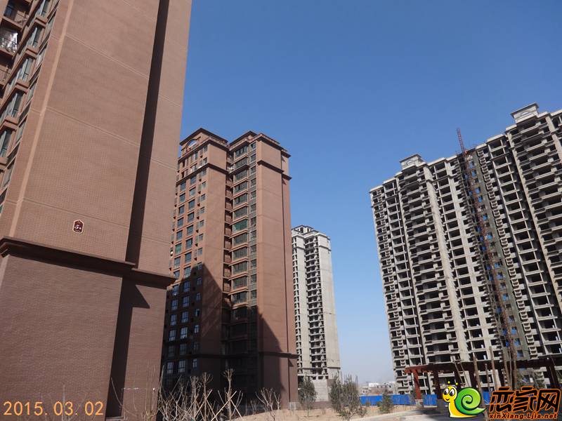 新美城上领地最新动态,新美城上领地最新动态概览
