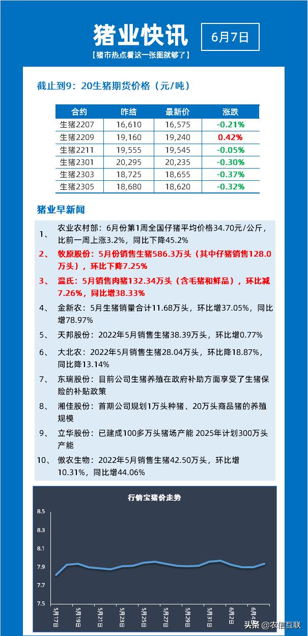 广东温氏最新鸡价行情解析，洞悉市场动态，把握养殖商机