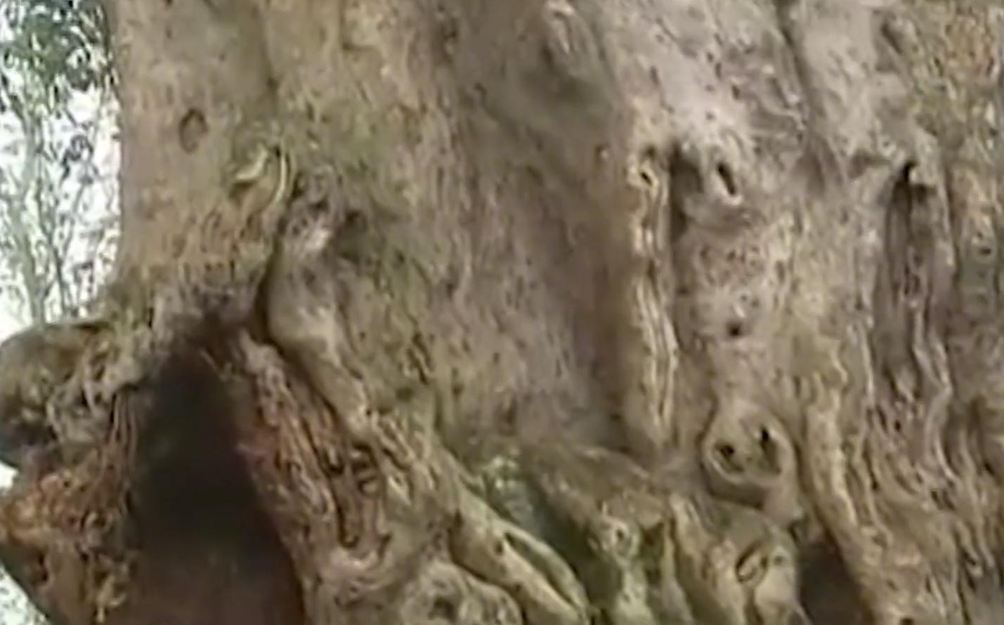 比赛四百字,赛场上的童趣与友情，一场四百米的温暖记忆