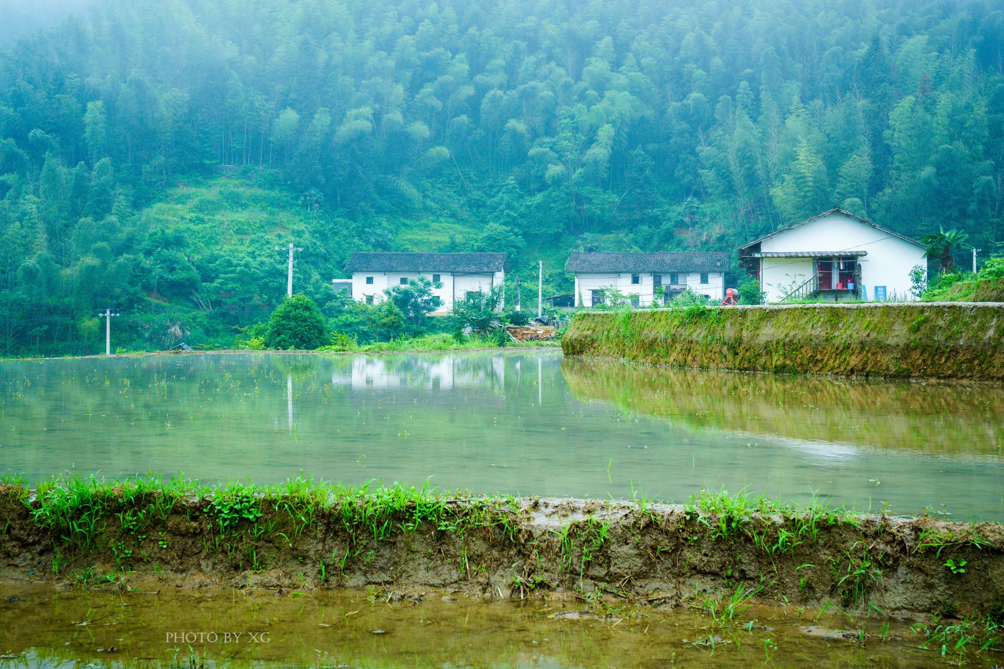 苹果最新QQ版本，探索自然美景，寻找内心平静之旅