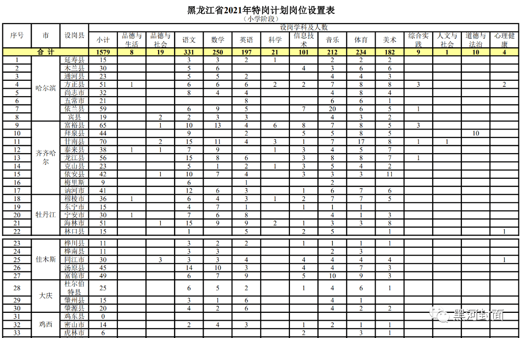 项城小巷职业宝藏大揭秘，最新职位招聘与特色小店人才探寻！