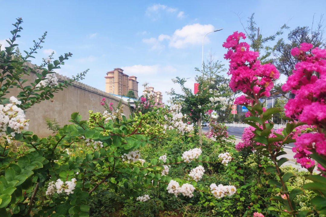 紫薇东进新篇章，探秘自然美景，启程内心宁静之旅