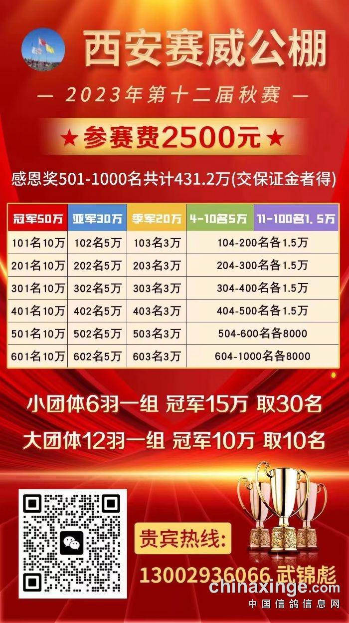 赛威公棚最新消息详解与操作指南