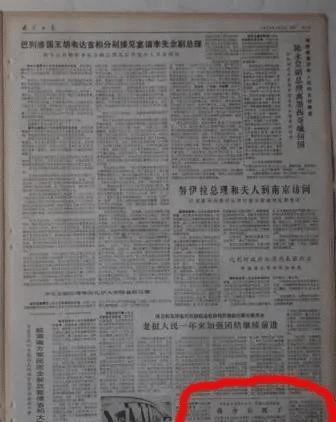 最新死亡报告详解，全面评测与介绍