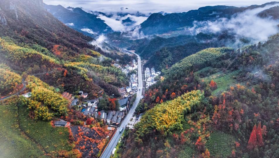 新光集团，日常温馨，友情梦想与家的交织纽带