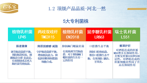 宏伟超达公司引领行业创新，塑造未来蓝图的新动态。
