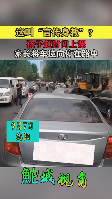 家长路中停车接孩子的现象，背景、事件、影响及当代社会反思