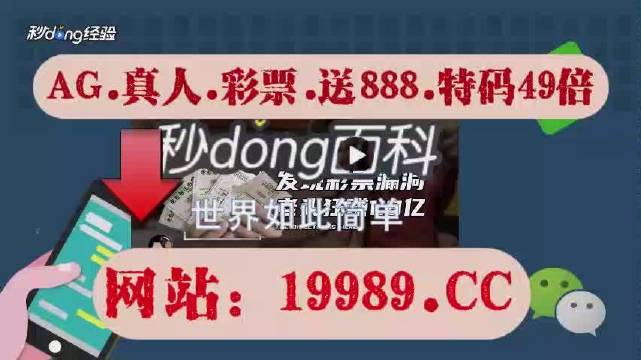 2024澳门开奖结果王中王,实际落实解答解释_速学版53.031