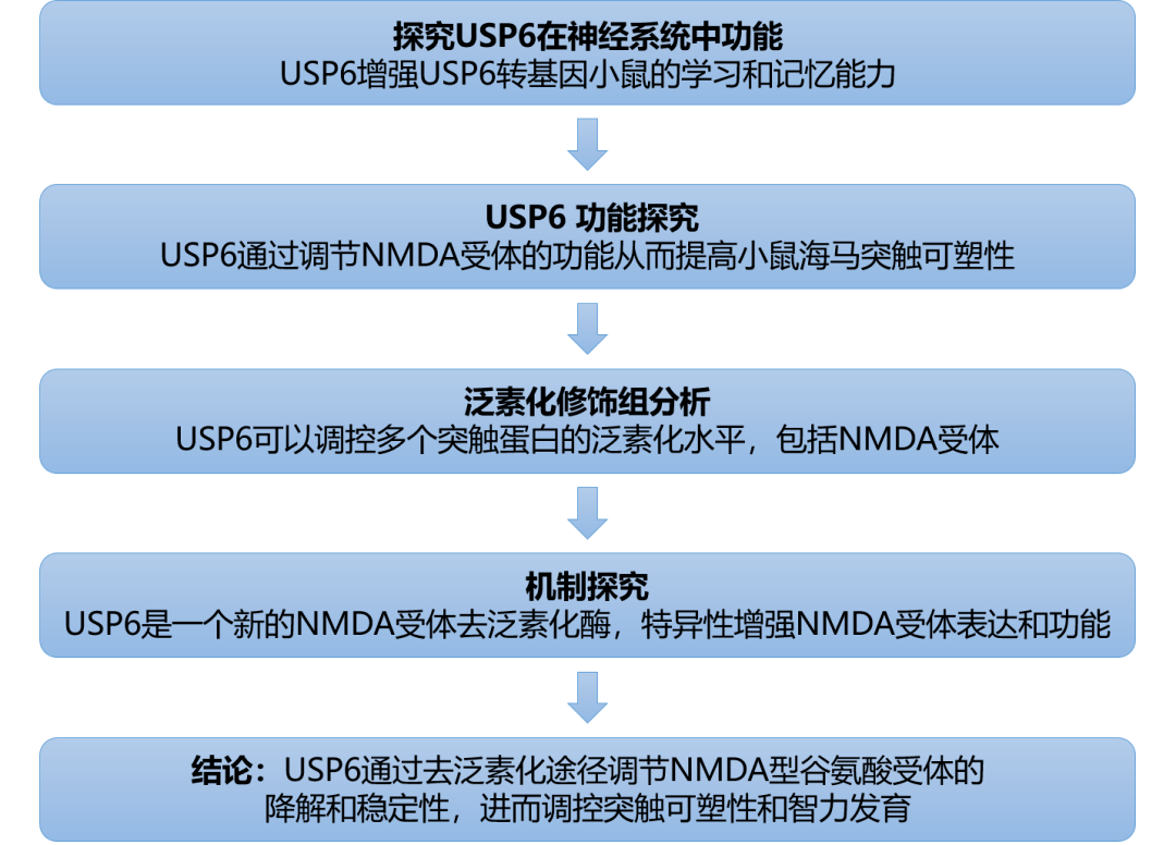 新奥长期免费资料大全,安全策略评估_模拟版VNU786.66