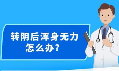 新澳精准资料免费提供,安全设计解析策略_最佳版316.74