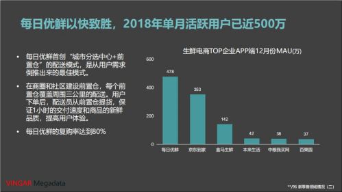 新奥天天免费资料大全正版优势,全面解答解析_便携版FWM122.51