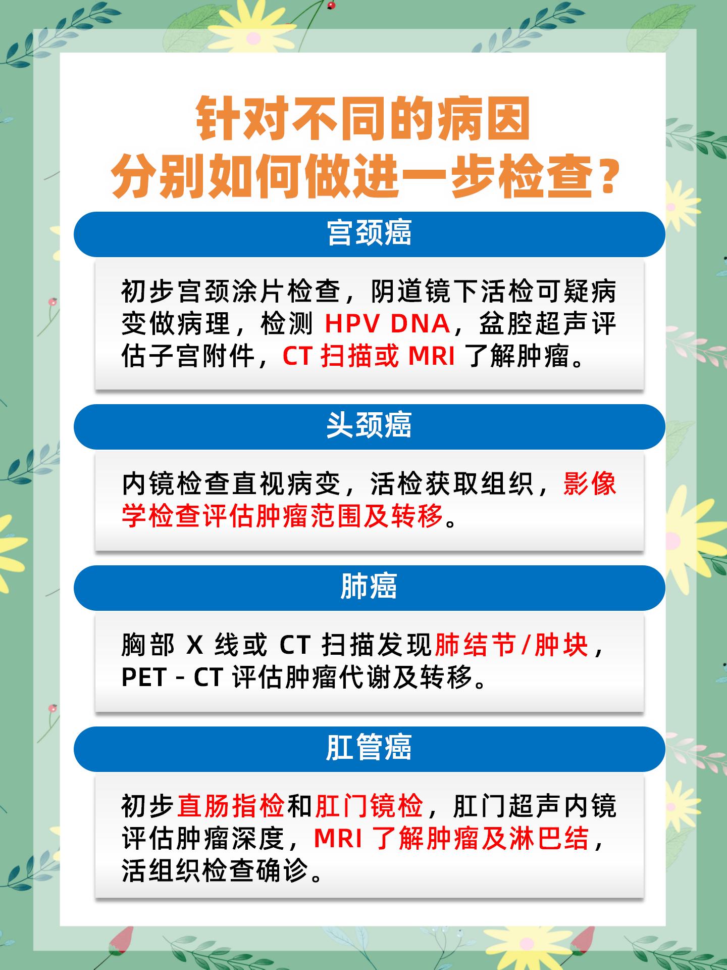 景洪登革热最新情况全面解析，应对策略与最新进展报告