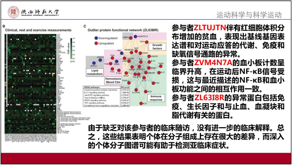 澳门综合资料库，官方资料验证及详尽解读_EIY373.18国际版