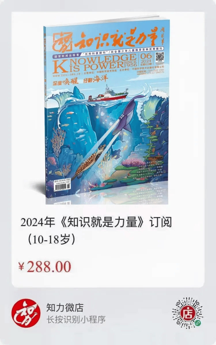 2024天天彩全年资料大全，高能解析版NWK288.46首发