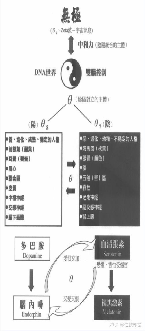 极点五笔最新版，与自然和谐共舞，探寻内心平和乐章