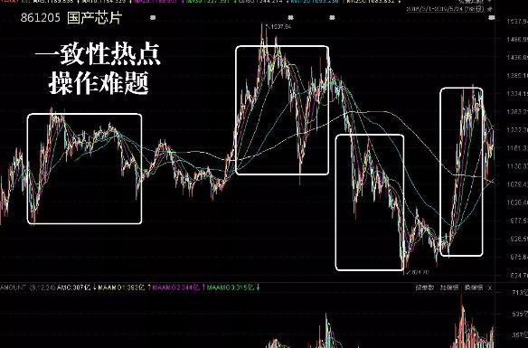 今晚必出三肖,最新正品解答定义_NTS723.68超脱