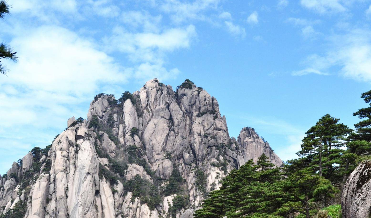 野狼社区最新地址揭秘，深度探究背景、重要事件与领域地位