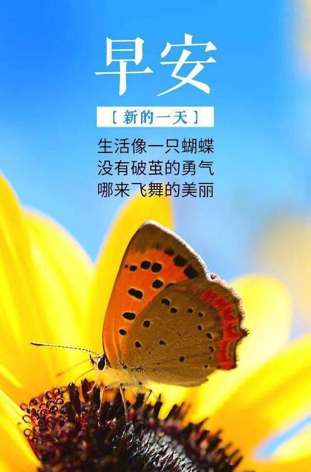 最新早安正能量语句，积极面对生活的力量与影响