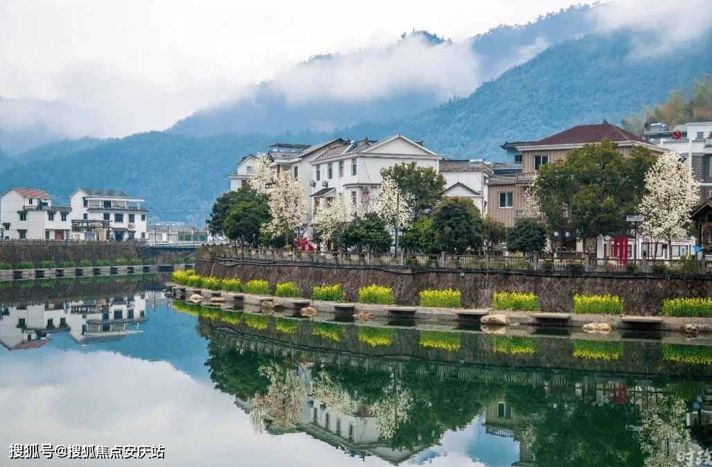 鹿邑最新房价揭秘，探索自然美景与心灵宁静的新楼盘之旅